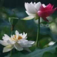 4cb3a8729f8758ab851fec358c38d2b90fb9c7ec