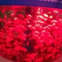 06456c4ad6a8435d29fc52929c369af94b6c4b76