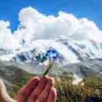 048480cfcd0c6812fcd7ddb8db4303bbd6df0187