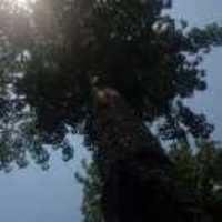 00eb1bbcb8e90c61ded1da2b1e8e42e12f2d229d