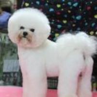 F52cee150a04f7fed2cea7bed634bf69be9673ba