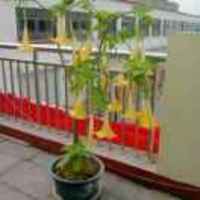 D77016fcc77e77aba9c454df59043324e802ccd2