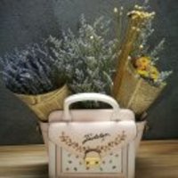 C7904d885b26b3321cc523cc4cb1d9bfc74ed227