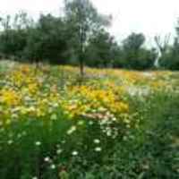 D1fccc555391f73763d9084939db92d2d34b6e5c