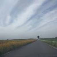 C48ec8f455bbf9d787ff77e019330a1989b77daf