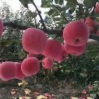 4bcfd736c2aa13ce3893c18bf57cbf88de298a89