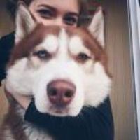 C6bcd0ce63cca73f952c0eb2b89a1e0e6c57fdd1