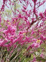 6143003bec72015c03e8cbf05957fe7e6ccc4799