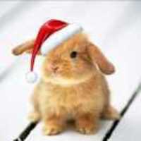 8d473fbac33fdfebf69cd5bc266924c8e25b785d