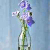 5145d7a3f2ac17f8b8c30ede8150dcb8923c160f