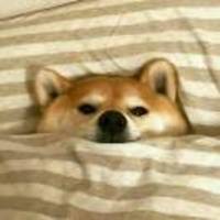 7a2ba7f3cdb3b38a51e616ff653e14dd3856fd3c