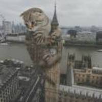 D2f9e9a8e99c7fcef81aff9343b8d58e3b08f38c