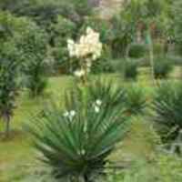 3f9b687460c4ce65c2acaa12787816cc16971d07