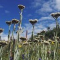 E12bc914cb4abdda61bf1f204ac2d777119f6101