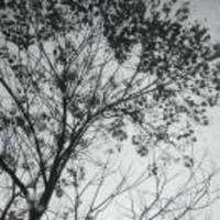 1ee0c9b6ceabeb630911bd5dc1a2babc048712de