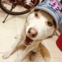 01b65b71c58d33a7443115a9d517b1a2305a8911