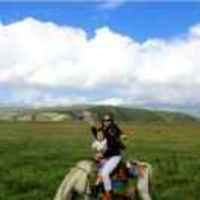 0f6dee21946b8feb4e0aab5f137de49480bd400a