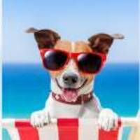 39dab15bd39a0934a75beb5e80546f3c1707ad78