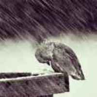 A410c715c1e7eae26902bcb517319861ad166161