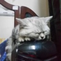 2bee59766fa436d584315ef15b78aee7ec7e0c5c