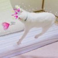 Dcf6d84d5bde6e7fa5ef3ea3c7a20789417d9276