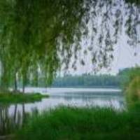 346d7c3fdf2f4845277fb2559f015fff9c801561