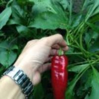 B291e0983ab6dc89953971dcc89712bcb15f384a