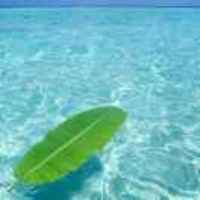 13539cce0e37264c88cbb2c88e716d06bbf4c940