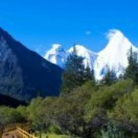 A18637c6d4475d4c4e9c7525ef079f3c0edee024