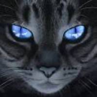 Af83074c15f1ee6f7028828abecd89a77d2cbd99