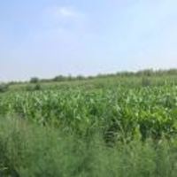 821716b167ce9bcc82365090b93bace5d40ed89c