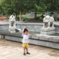 5bd175311dbde366d4b65398951e0143ccdd0181