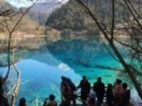 80a30fd9b3230128b690aab337f98ebc1e710155