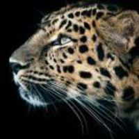 252f35fa26999cfb62f0840fc62b6dd688d7fa47