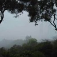 D358ab1b8509b80facf1218703b7c44e1a628d1f