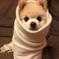 F538ce78ab9bc7e4c3c09156304d9465dfe2ed49