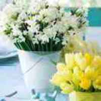 53c64ace7cca243b3bc47b8c31e5f994b05cd811