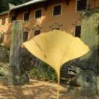 2992e5781b531241683418cb8a799756f5d7d050