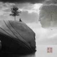 A19259cd673b25f1cb704edb41e20015c832866b