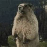 674bfaafee06ea5136e4c25bfa216100e2d1d635