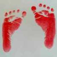 Bb4c4013a1dc061428048bc91029f79ed1b72300