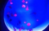 D6479ee8cfceb52ae58b3e9ac40dc1c8328a5fb3