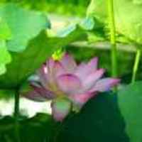 49f442d1982b9772a117eea0c9ec816b2b40c51b