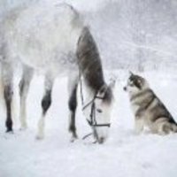 18695f32caf387a55861b9c0021c983fe28caf1a