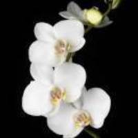 6a880ab8a3f9524c90541727e9415c95c4af5773