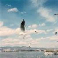 79384b267cb556dcd8fb24514ee936d76575631c