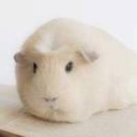 2aeb2565ad3fd9119be3c4cb4bbb43a7f1aa9156