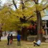 Ec0dc0ef7ad340ddac6ac21047c70e337956f443