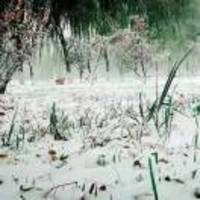 Ef12a28b12333c4239a3a332951240fb7a304a61