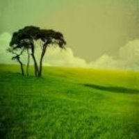 D9aff14c95a7ff825ce000aa66a0ee94c3c17a30